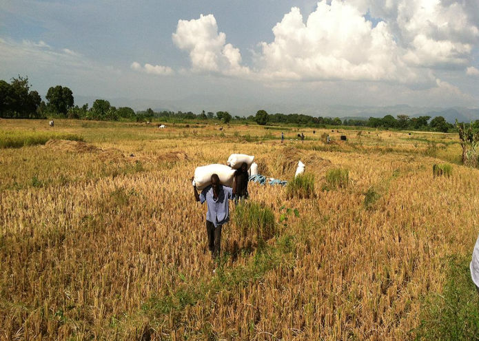 Schedule Your Experience